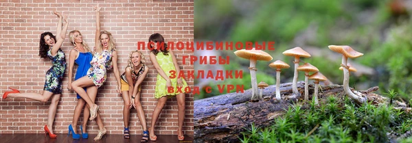 гидропоника Баксан