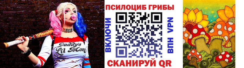 Купить  Дубна  Галлюциногенные грибы Psilocybine cubensis 